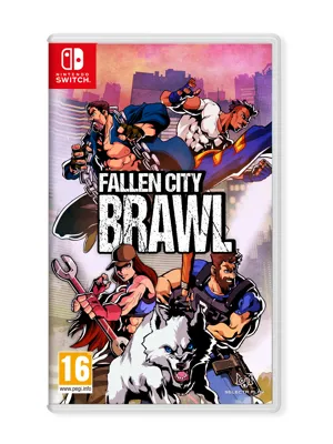Carátula de Fallen City Brawl